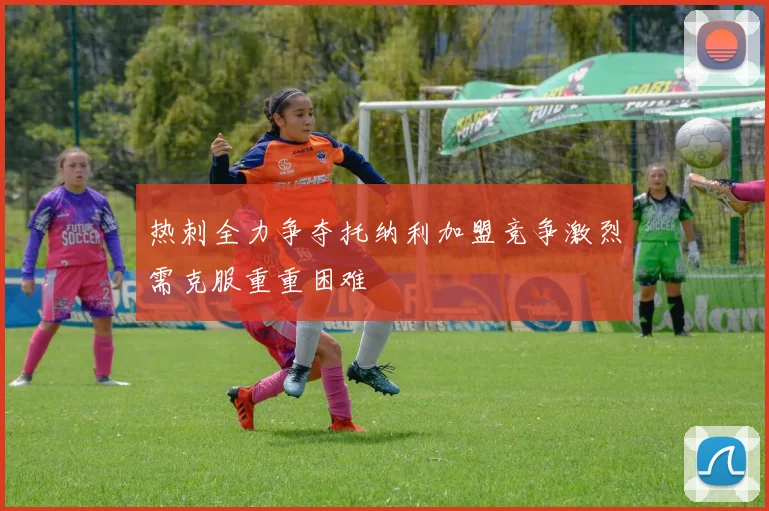 热刺全力争夺托纳利加盟竞争激烈需克服重重困难