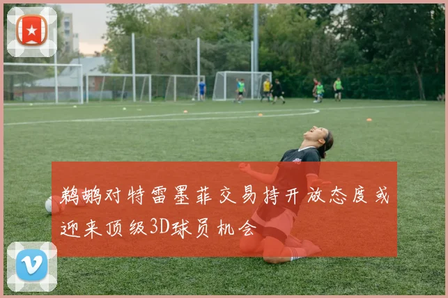 鹈鹕对特雷墨菲交易持开放态度或迎来顶级3D球员机会