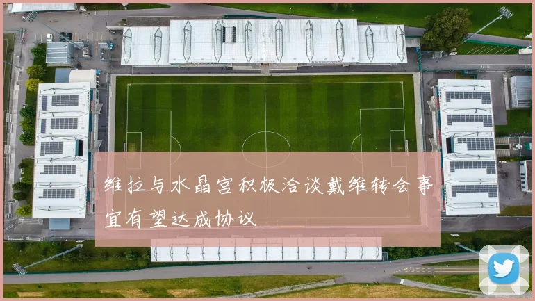 维拉与水晶宫积极洽谈戴维转会事宜有望达成协议